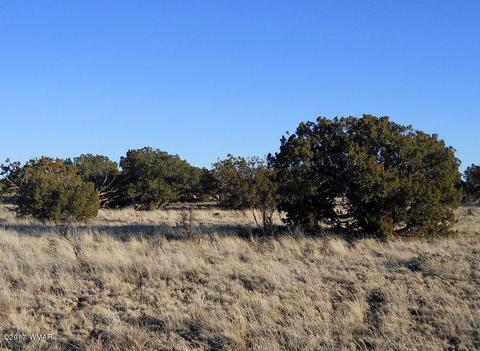 4209 Del Contento Rd, Snowflake, AZ 85937 photo 20
