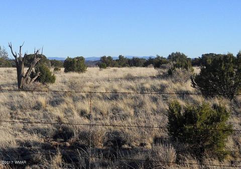 4209 Del Contento Rd, Snowflake, AZ 85937 photo 7