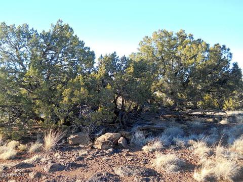 4209 Del Contento Rd, Snowflake, AZ 85937 photo 14