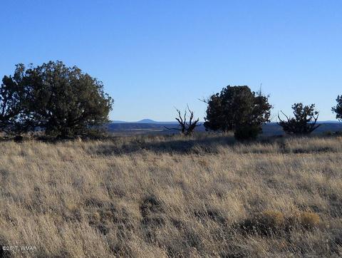4209 Del Contento Rd, Snowflake, AZ 85937 photo 9