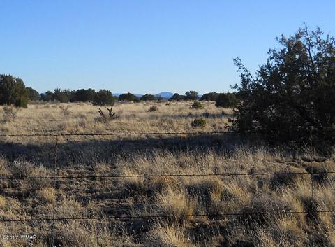 4209 Del Contento Rd, Snowflake, AZ 85937 photo 8