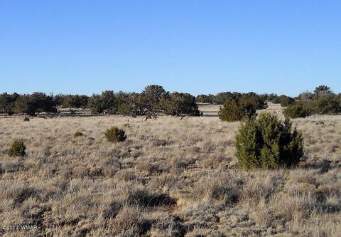 4209 Del Contento Rd, Snowflake, AZ 85937 photo 19