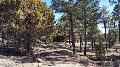 2241 Double Bogey, Overgaard, AZ 85933 photo 21