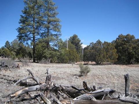 2181 Rim View Trl, Overgaard, AZ 85933 photo 3