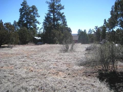 2181 Rim View Trl, Overgaard, AZ 85933 photo 5