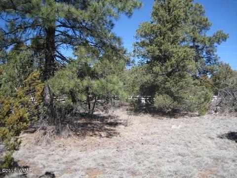 2181 Rim View Trl, Overgaard, AZ 85933 photo 6