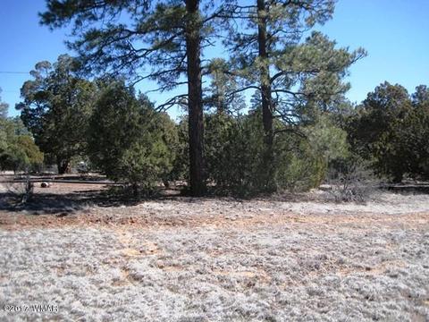 2181 Rim View Trl, Overgaard, AZ 85933 photo 1