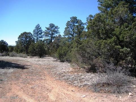2181 Rim View Trl, Overgaard, AZ 85933 photo 8