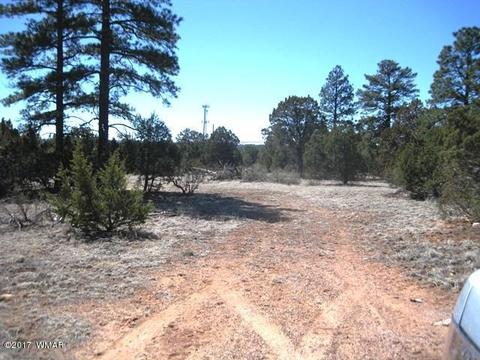 2181 Rim View Trl, Overgaard, AZ 85933 photo 7