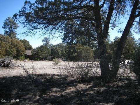 2181 Rim View Trl, Overgaard, AZ 85933 photo 2