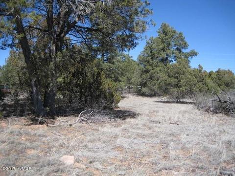 2181 Rim View Trl, Overgaard, AZ 85933 photo 4