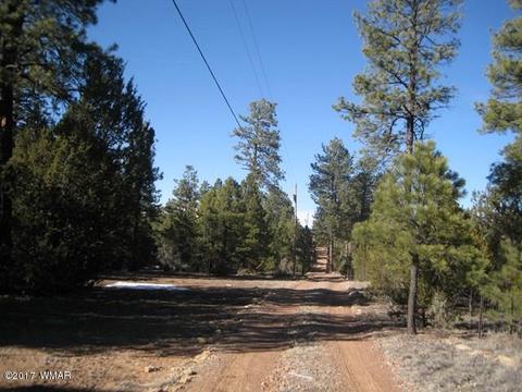 2910 Red Cinder Rd, Overgaard, AZ 85933 photo 18