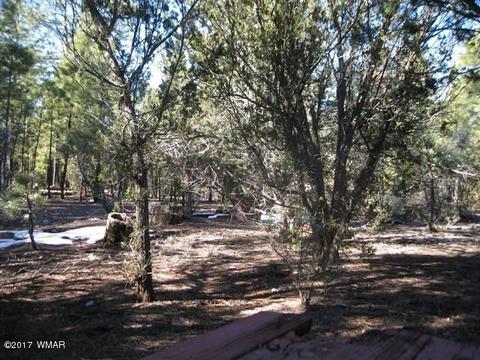 2910 Red Cinder Rd, Overgaard, AZ 85933 photo 23