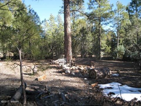 2910 Red Cinder Rd, Overgaard, AZ 85933 photo 25