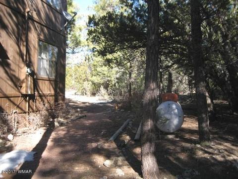2910 Red Cinder Rd, Overgaard, AZ 85933 photo 19