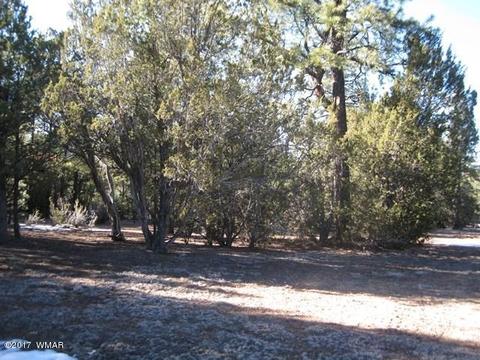 2910 Red Cinder Rd, Overgaard, AZ 85933 photo 27