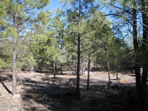 2910 Red Cinder Rd, Overgaard, AZ 85933 photo 24