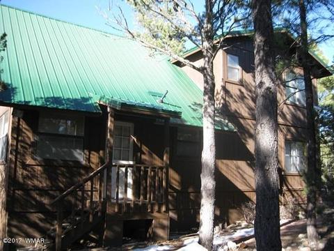 2910 Red Cinder Rd, Overgaard, AZ 85933 photo 20