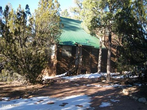 2910 Red Cinder Rd, Overgaard, AZ 85933 photo 2
