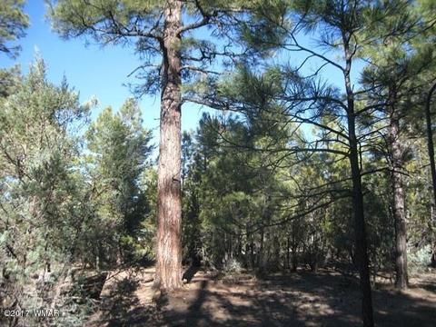 2910 Red Cinder Rd, Overgaard, AZ 85933 photo 26