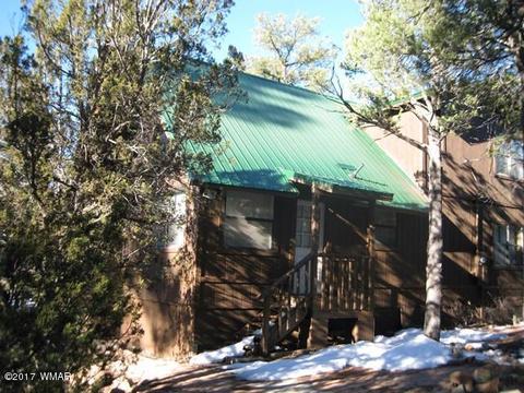 2910 Red Cinder Rd, Overgaard, AZ 85933 photo 16