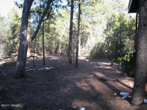 2910 Red Cinder Rd, Overgaard, AZ 85933 photo 22