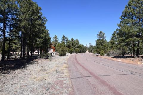 2974 Homestead Dr, Overgaard, AZ 85933 photo 19