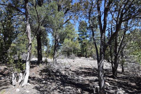 2974 Homestead Dr, Overgaard, AZ 85933 photo 4