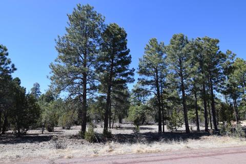 2974 Homestead Dr, Overgaard, AZ 85933 photo 18