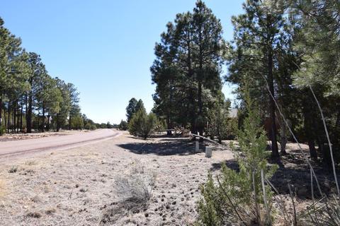 2974 Homestead Dr, Overgaard, AZ 85933 photo 20