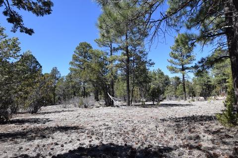 2974 Homestead Dr, Overgaard, AZ 85933 photo 3
