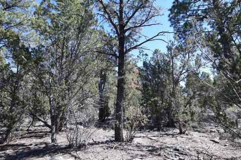 2974 Homestead Dr, Overgaard, AZ 85933 photo 10