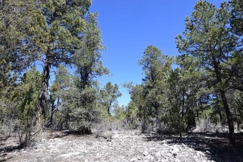 2974 Homestead Dr, Overgaard, AZ 85933 photo 8