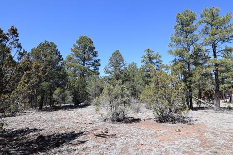 2974 Homestead Dr, Overgaard, AZ 85933 photo 6