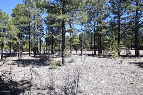 2974 Homestead Dr, Overgaard, AZ 85933 photo 13