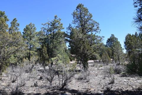 2974 Homestead Dr, Overgaard, AZ 85933 photo 9