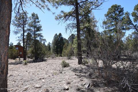 2974 Homestead Dr, Overgaard, AZ 85933 photo 15