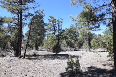 2974 Homestead Dr, Overgaard, AZ 85933 photo 5