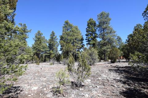 2974 Homestead Dr, Overgaard, AZ 85933 photo 7