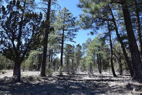 2974 Homestead Dr, Overgaard, AZ 85933 photo 17
