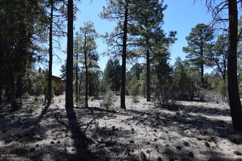 2974 Homestead Dr, Overgaard, AZ 85933 photo 16
