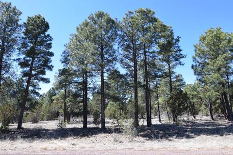2974 Homestead Dr, Overgaard, AZ 85933 photo 2