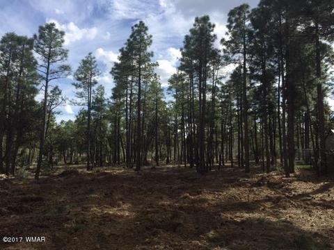 861 E Pine Ln, Show Low, AZ 85901 photo 6