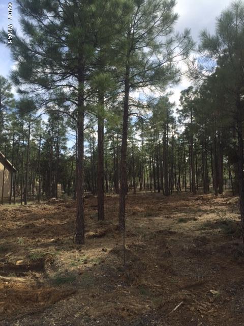 861 E Pine Ln, Show Low, AZ 85901 photo 5