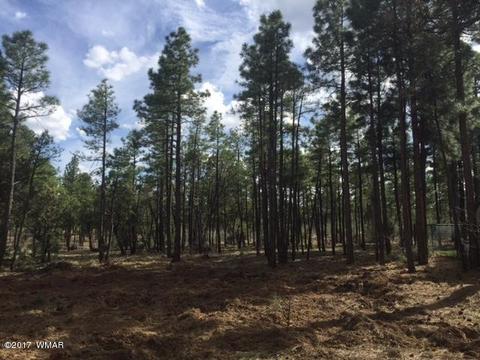 861 E Pine Ln, Show Low, AZ 85901 photo 7