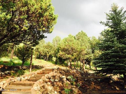 1371 Spruce, Eagar, AZ 85925 photo 4