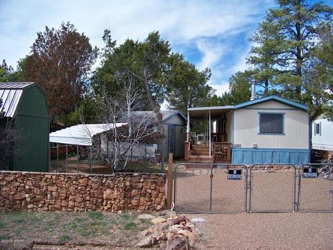 2060 Grey Squirrel Trl, Overgaard, AZ 85933 photo 2