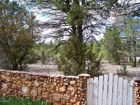 2060 Grey Squirrel Trl, Overgaard, AZ 85933 photo 33