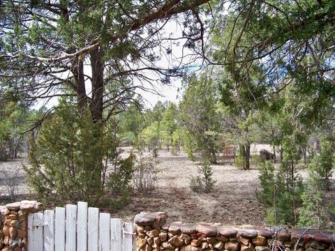 2060 Grey Squirrel Trl, Overgaard, AZ 85933 photo 34
