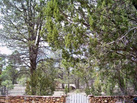 2060 Grey Squirrel Trl, Overgaard, AZ 85933 photo 32